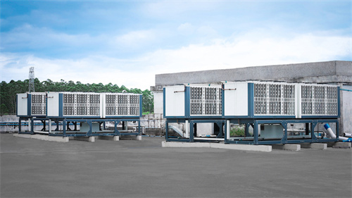 谷輪創新技術賦能中國菌菇種植產業，推動能效升級與可持續進步